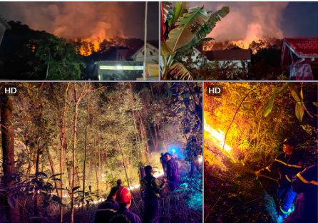 Liên tiếp dập tắt 2 vụ cháy rừng ở địa bàn xã Lại Xuân, huyện Thủy Nguyên